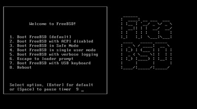 نصب FreeBSD
